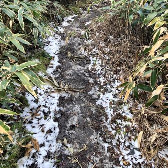 雪が解けてて靴が泥だらけに