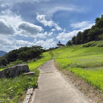暑〜🥵晴れるともう真夏☀️