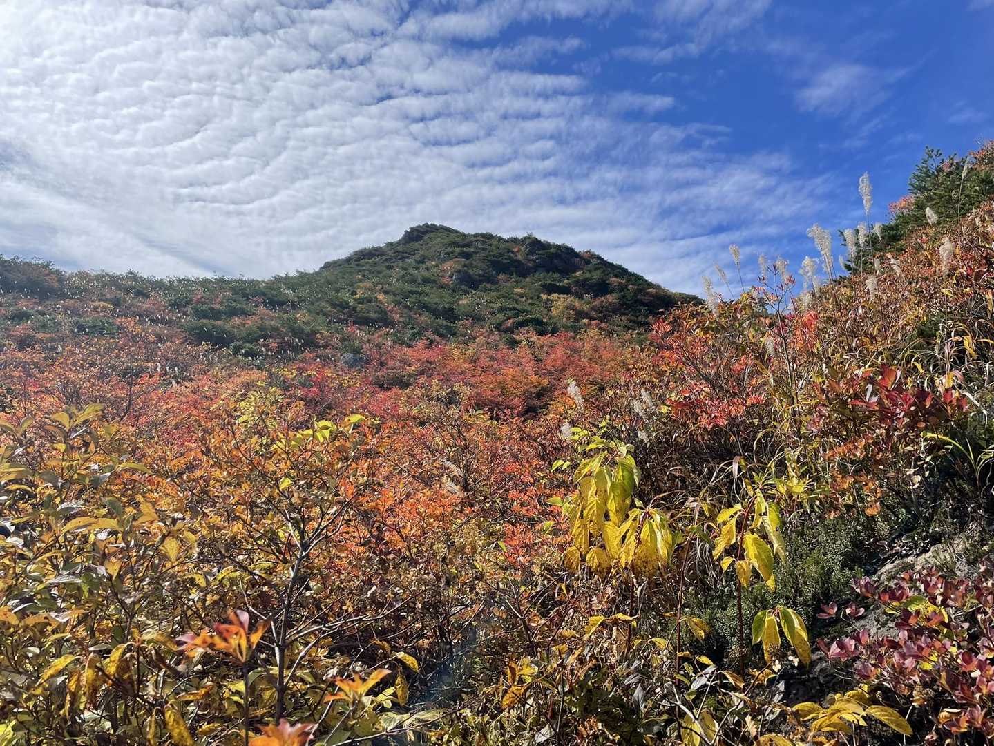 紅葉の中歩ける幸せ❤️