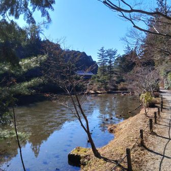 円成寺はスルーして