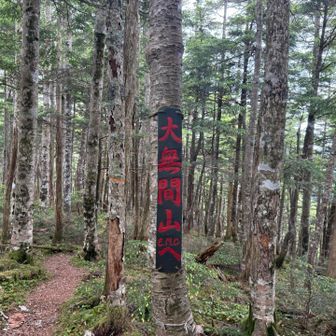 よく見るコレ
思ったより小さかった
赤と黒、ちょっと怖いけど、この山のイメージには合ってるかも。
赤と黒？キットさんカラー🤭