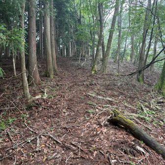 モーテ山より踏み跡くっきり