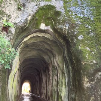 トンネル北から、通り抜けるの初めて😳