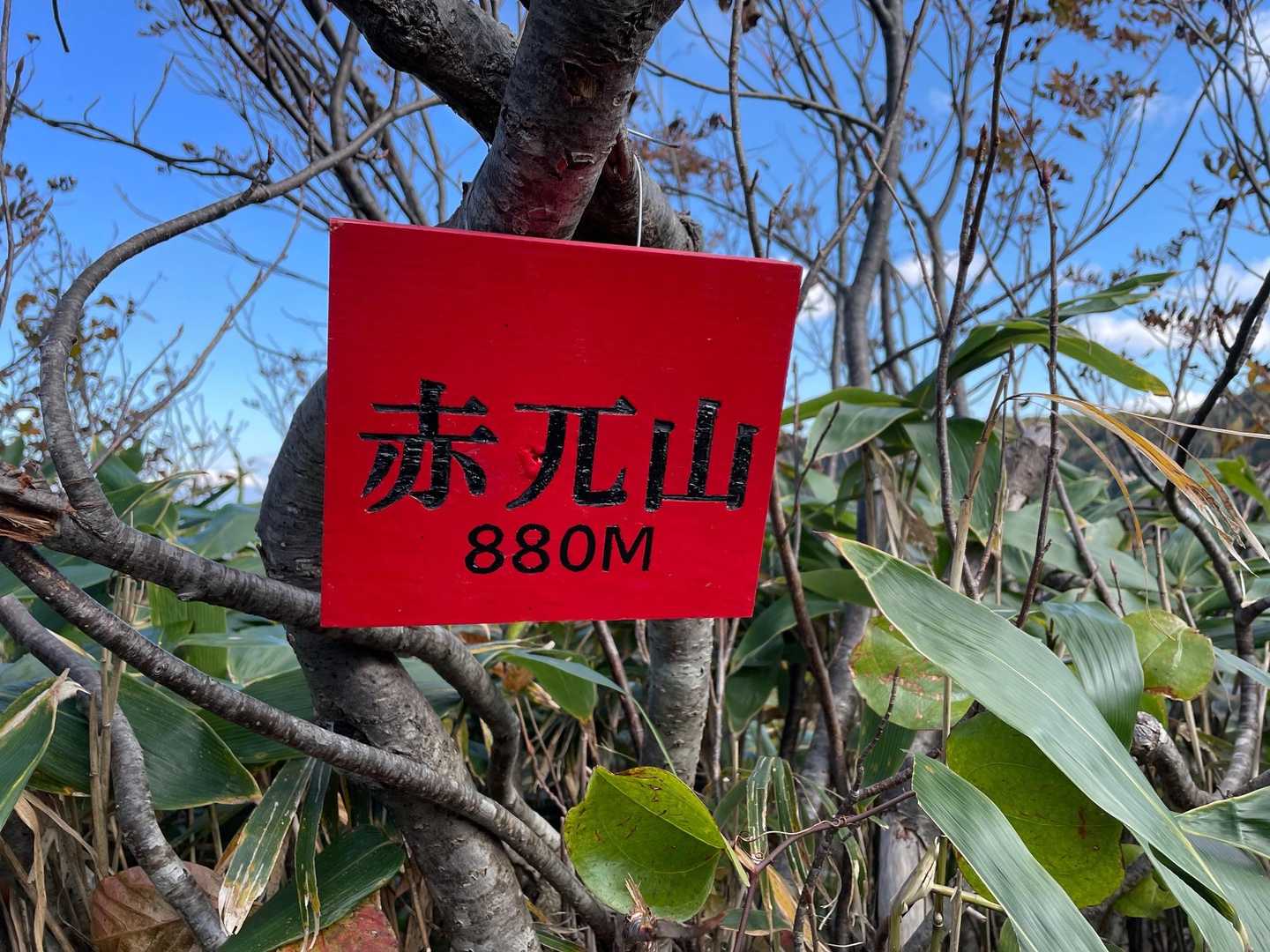 奥獅子吼山 往復コースの写真