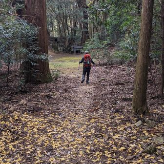 それでも😮‍💨
やっぱり山は気持ち良い✨
私はルンルンルン♪
前行のミンちゃんはクモの巣と戦いながら🕸❇️