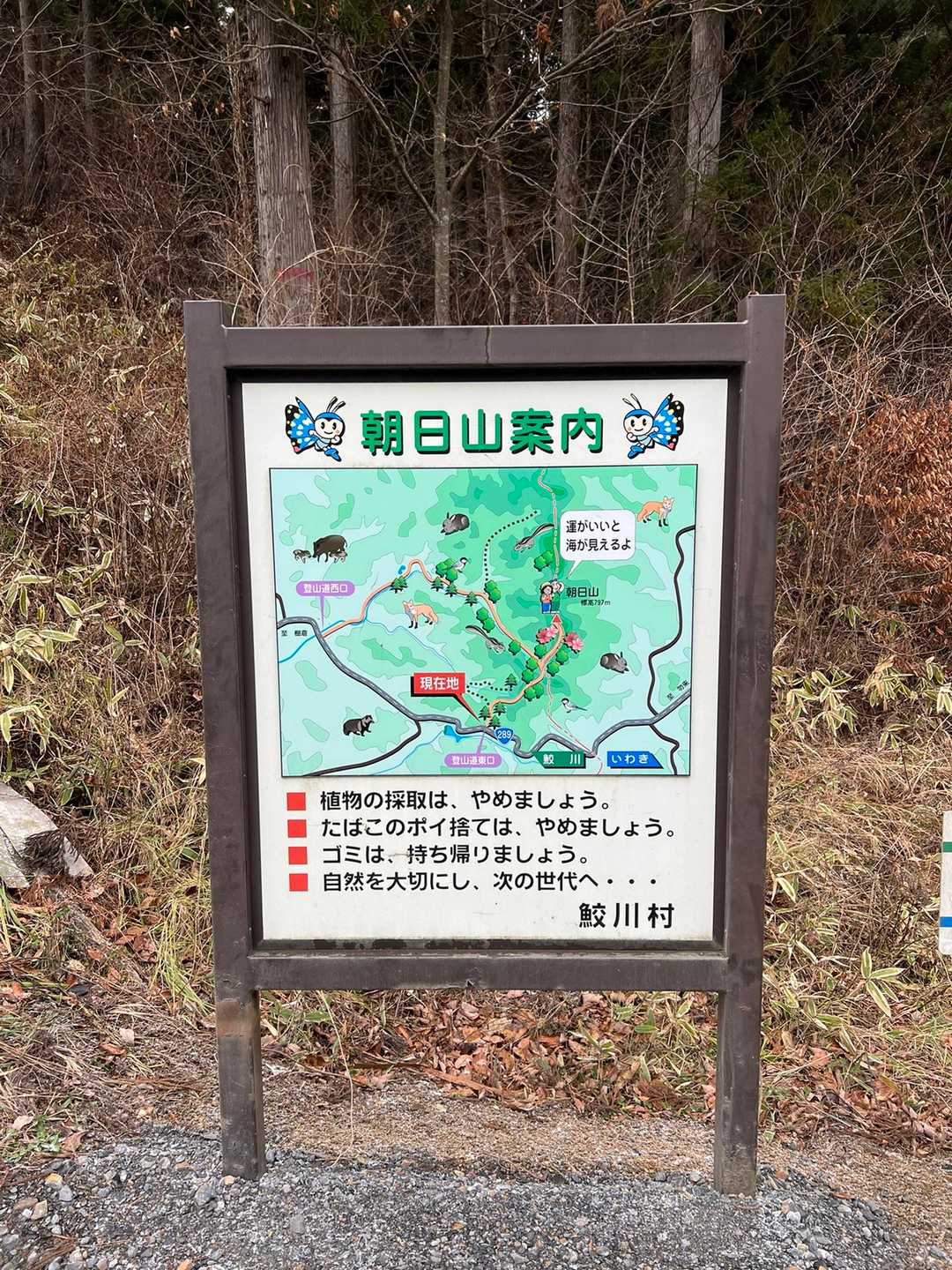 朝日山登山道東入口-朝日山-朝日山登山道西入口 周回コースの写真