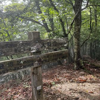 大持山到着。
あと少し。