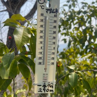 23°Cもある…😰
