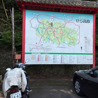 今高野山🅿️到着