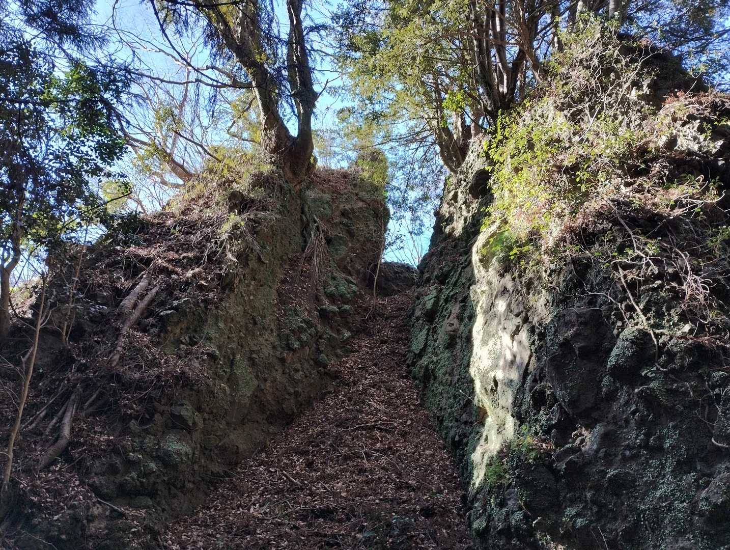 夫婦岩です✨