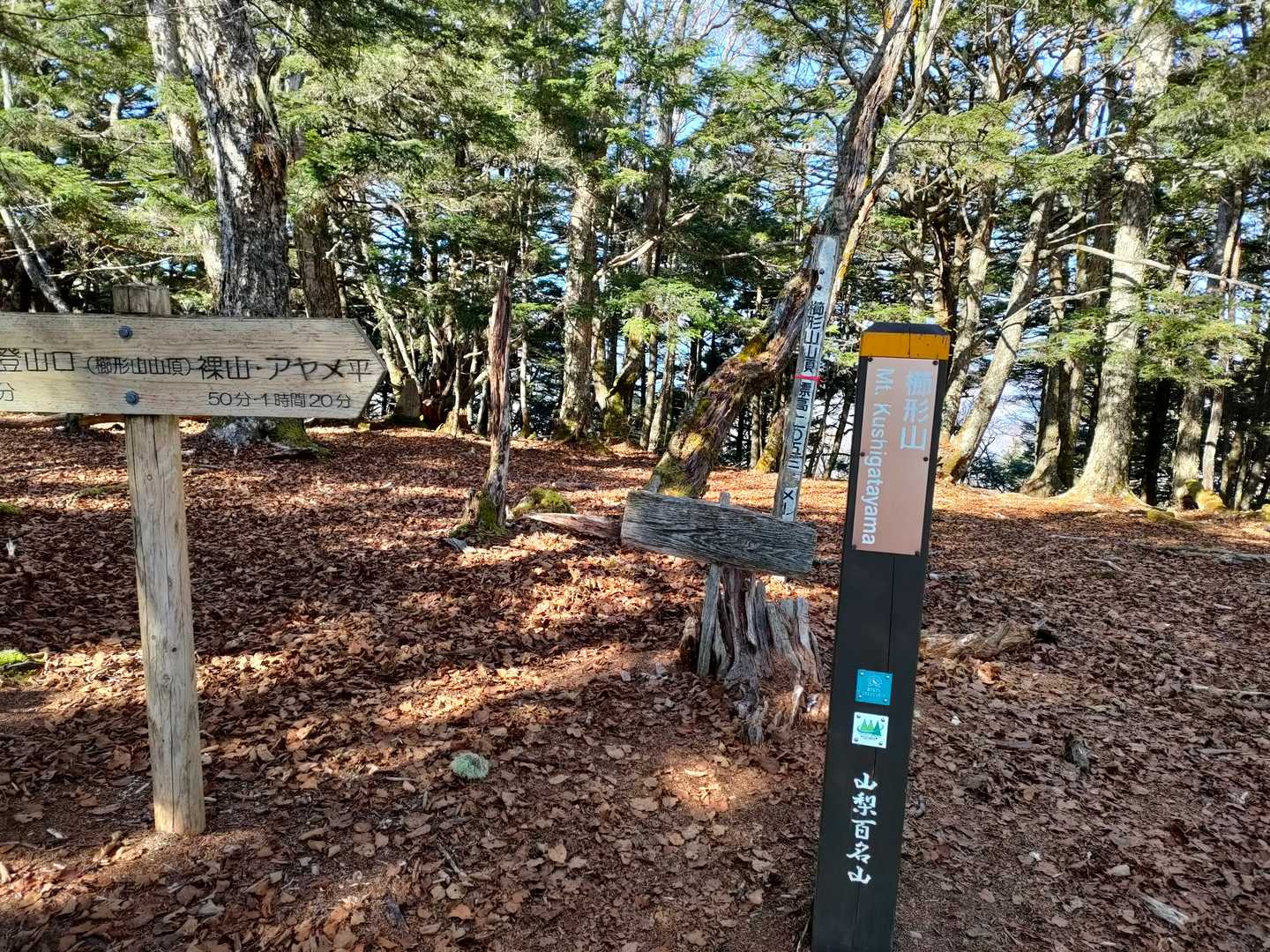ここが櫛形山なの？