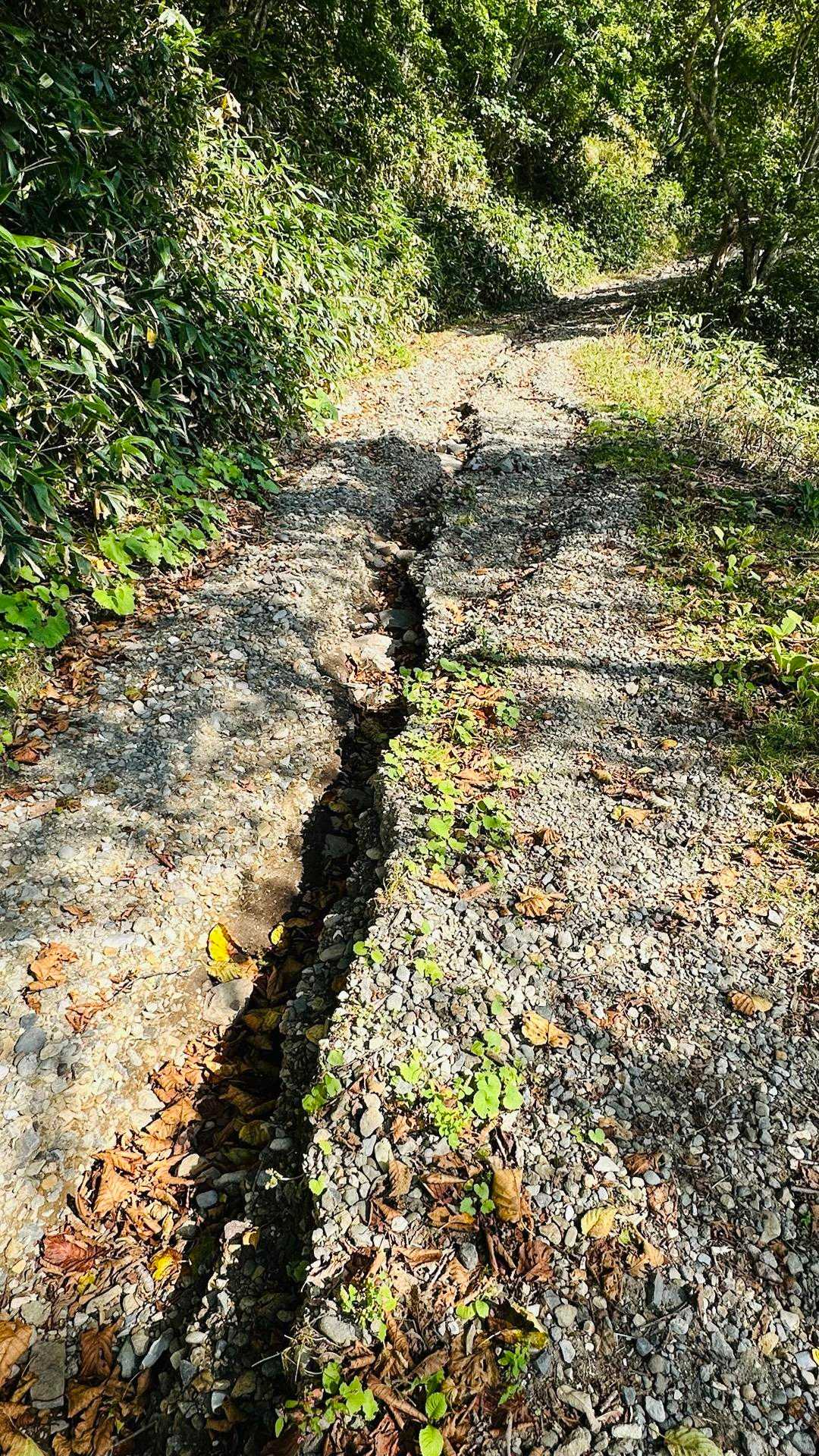 先日の雨で抉れてしまった林道