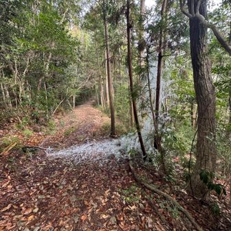 冷水山・百前森山・果無山 突然凍ってるところが　水が吹き出している！