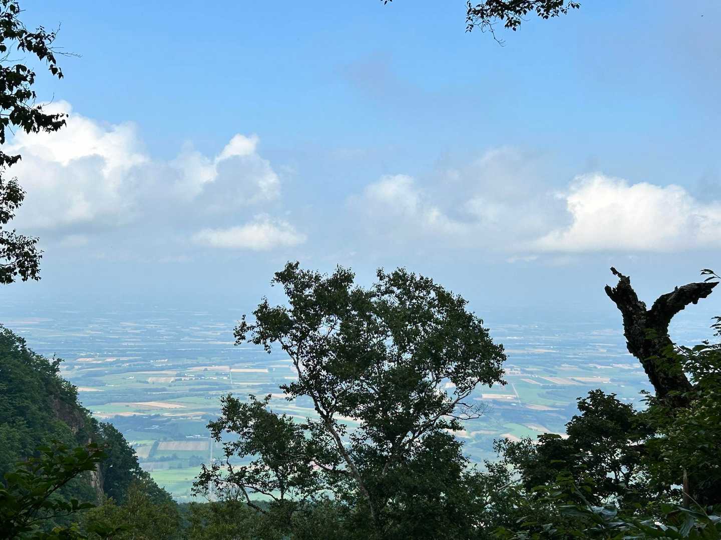 下山中に📷
登山口が近づくと晴れてくるあるある🌤️
でも、この時も山頂は真っ白だったので天気予報と一致せず…
天気読みは難しい💦

下山後♨️※写真撮り忘れ😮‍💨
清水町公衆浴場
¥480
シャンプー類一切なし※持参必要🫧
サウナ・水風呂あり
さっぱりスッキリ😊

色々ありましたが、全員ケガなく無事帰宅🍀
道東遠征の旅は今回の日記で終了です

初の山小屋泊🛖、そこからの連日登山、新たな出会い🫱‍🫲✨などなど…
YAMAPを始めた頃には想像もしていなかった世界が広がり、今回誘ってくれたテパ師匠とmiuさんには感謝しかありません🙏ｱﾘｶﾞﾄｳ🍀

そして今回偶然(必然？)出会ったじゅんさん🫱‍🫲
お話を伺って、憧れの道外遠征の楽しみが広がりました⛰️✨
絶対登りに(会いに)行きますね！😊