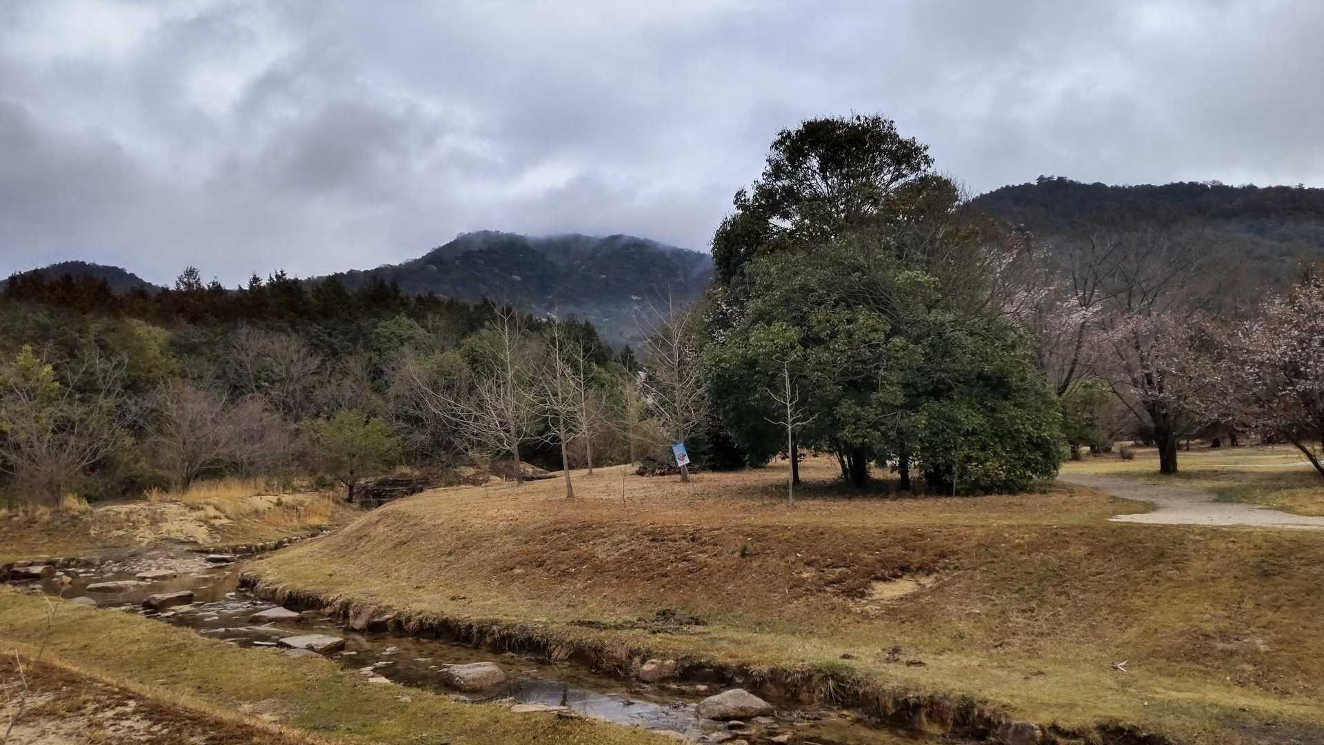 思っていたよりも楽しかった亀尾山