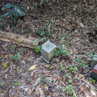 点名：御墓山。三角点の左にあるのは山名標識の残骸か？
