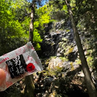 もうすでに満足してるけど
まだまだ登山は始まったばかりなので
もらった男梅たべて、進みます💪