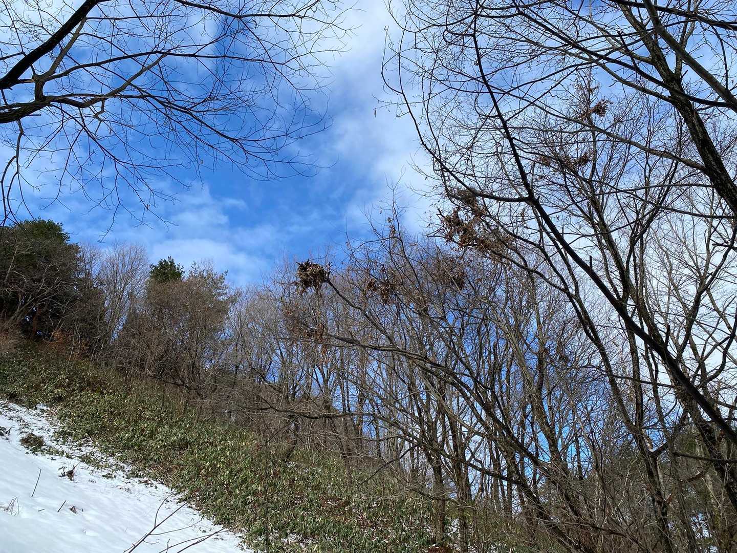 その目線の先にはたくさんの熊棚が🐻