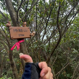 持越山！いただきました！