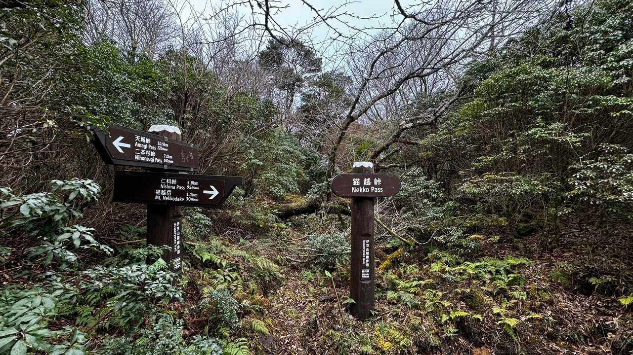 伊豆山陵線トレイル（三蓋山・水呑頭・猫越岳・後藤山・魂の山・棚場山・伽藍山・古稀山・達磨山・小達磨山） の写真 24