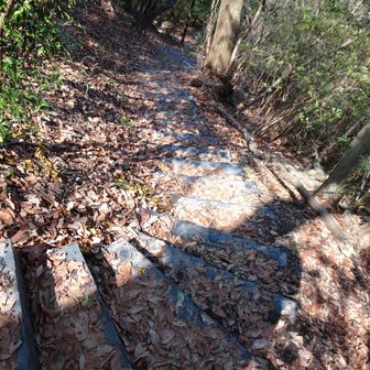 おります。ずーっと階段。