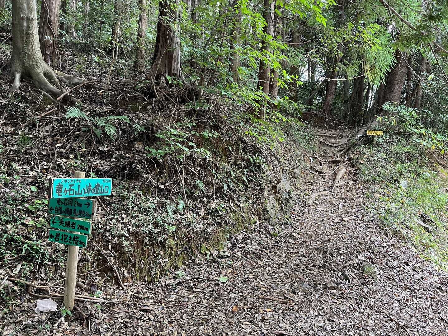 登山口までの林道が長い💦