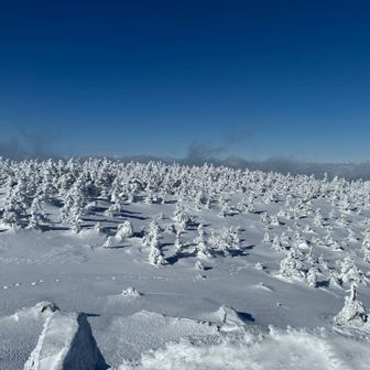 元はなんだったのだろう