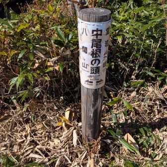 中尾根の頭！
この先で負傷しました😞💦💦
そこからヘリ🚁