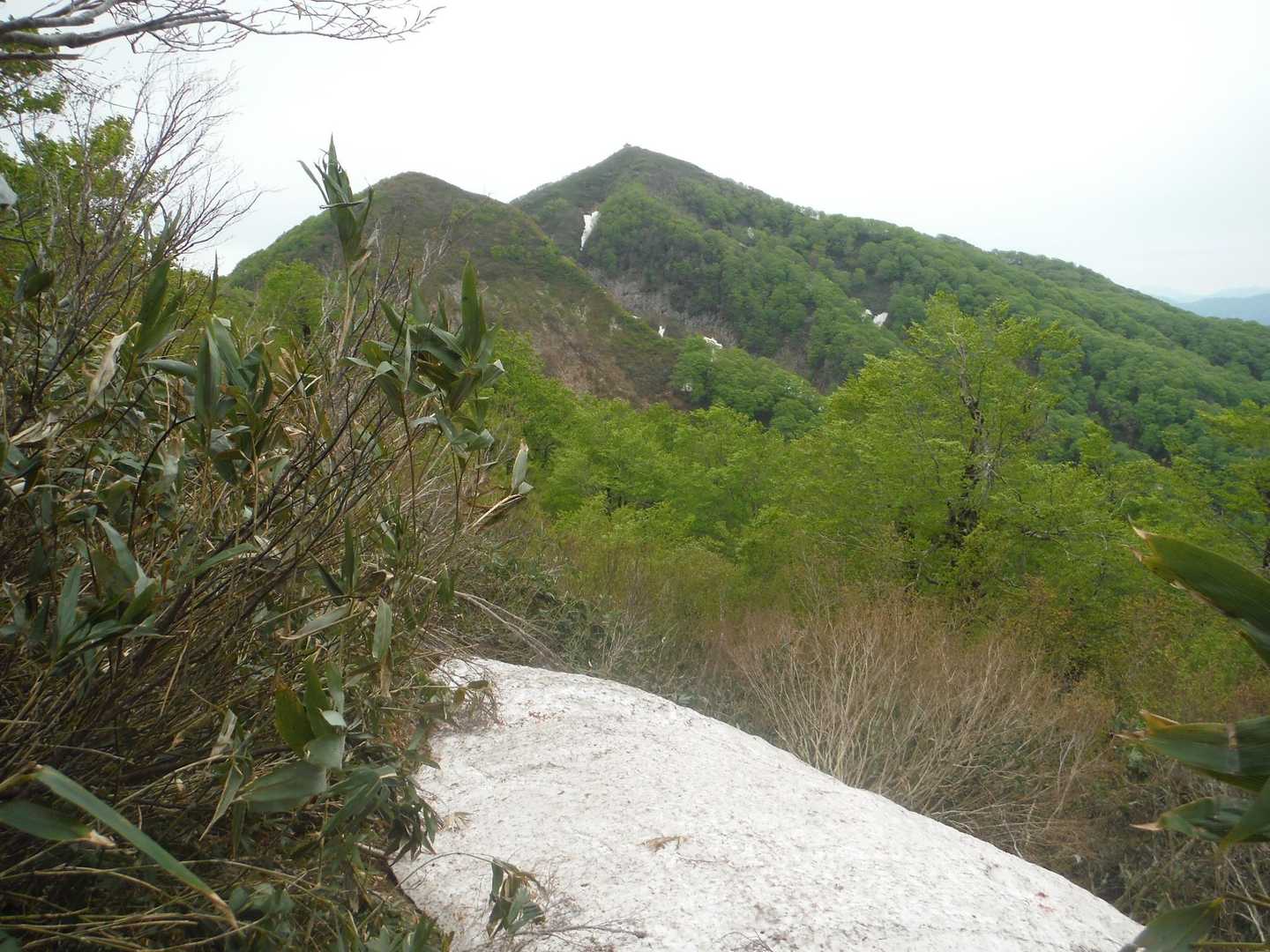 太平山野田登り口-御手洗神社-太平山 往復コースの写真