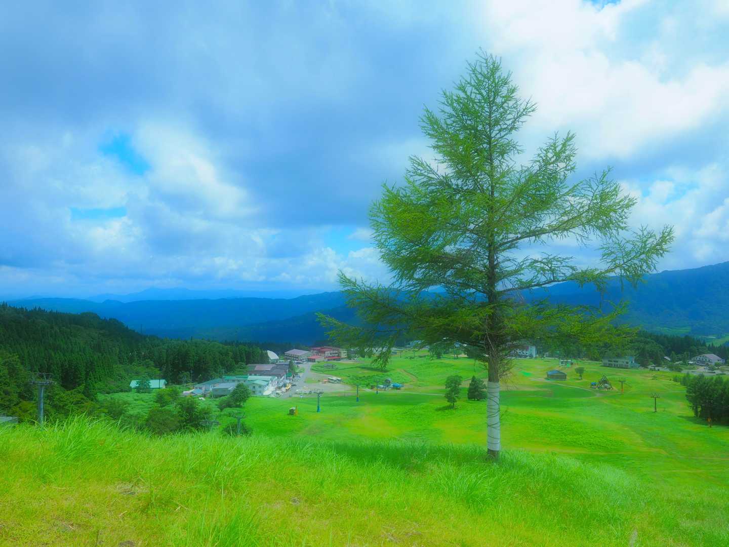 下山完了
夏山の鉢伏山もショートだったけど堪能