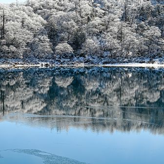 200mmのレンズを手放してからすっかり鳥を撮れなくなりました…
望遠鏡で頑張るかな😅