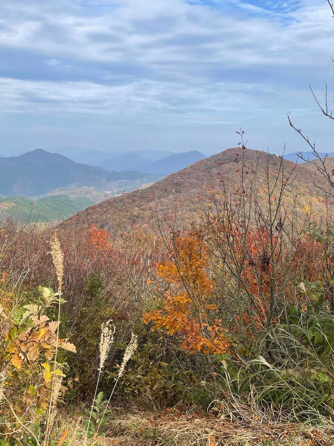 毛無山山頂〜🎵　遠くに大山