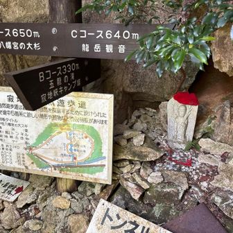 cコースは封鎖されてました