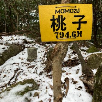 やっと着いたよ桃子。
いやぁ、しんどかったなぁ（という感想は、この時点ではまだ早かった）。