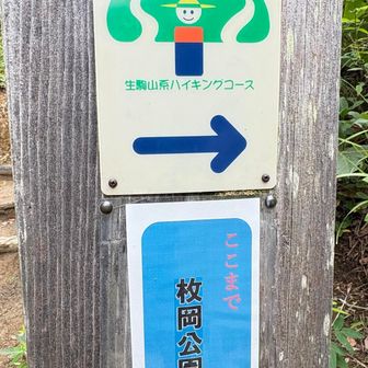ここから右➡️へ