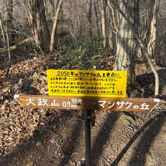 2050年に向けて楽しみ💛

24年後？古希過ぎてる🤣
できる限り山歩は続けていこ💪