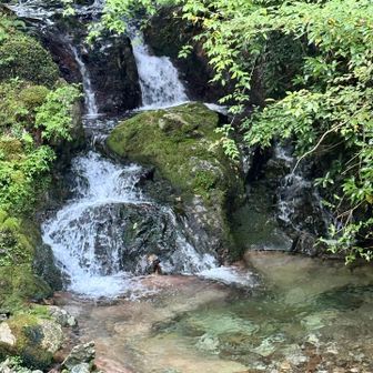 日置川(ひおきがわ)の源流で
サファイアブルーの渓谷美だって

https://tamayuricamino.com/yasukawablue