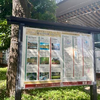 都立9庭園巡り🪧今日は隙間時間利用のため、2箇所のみ巡ります✌️