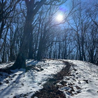 みなさんの踏み跡を頼りに👣