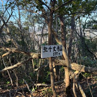 北千丈寺山到着
眺望は無し