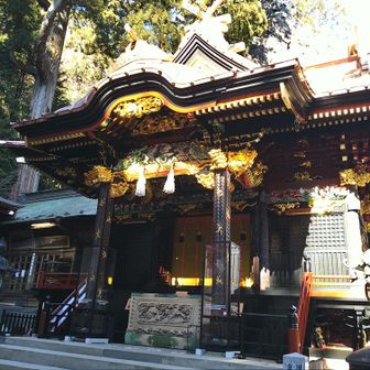 下山後は幸先詣で榛名神社へ参拝🙏✨
保存修復工事が終わったばかりの煌びやかな社殿✨
おもわずウルウルしてしまうくらい🥹綺麗になりましたね〜✨
ピカピカの金箔、漆…徐々に風化が進行していくので早く見た方がいいですね😊
