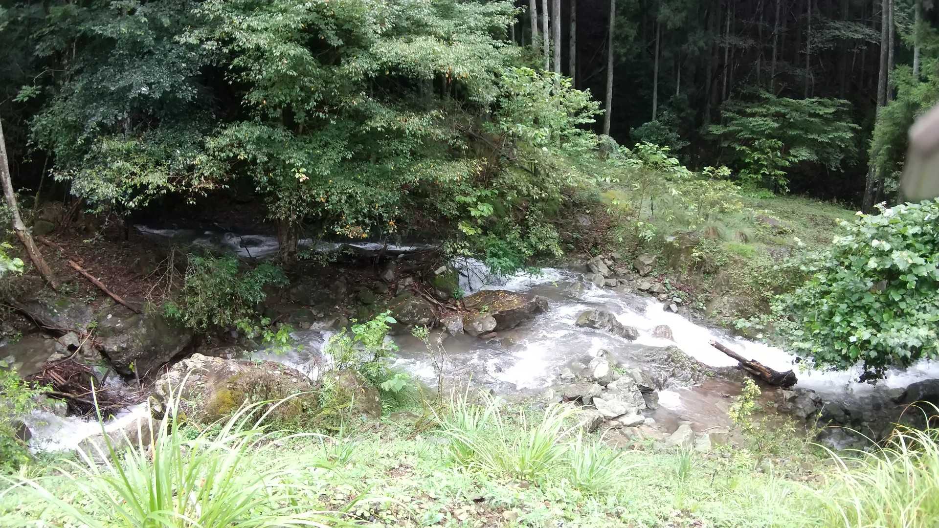 駐車場傍の沢(*￣∇￣)ノ
鳴神山は水が豊富です(*´ー｀*)