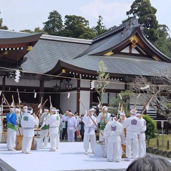 つきたてのお餅を頂けるとおもっていたら、