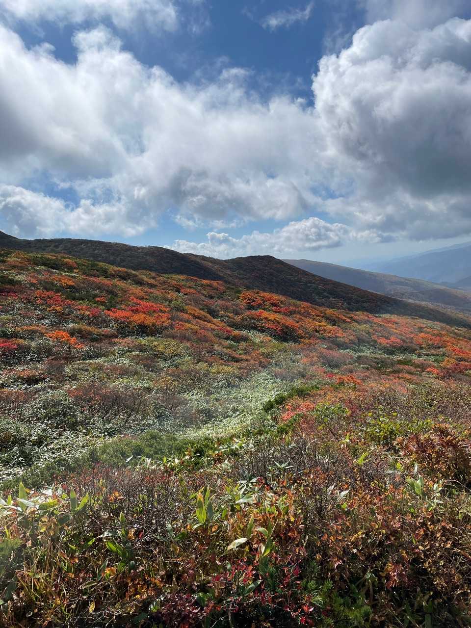 峠の茶屋登山口-朝日岳-1900m峰-三本槍岳-大峠 周回コースの写真