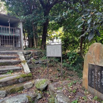 ともあれ穏やかな日和です