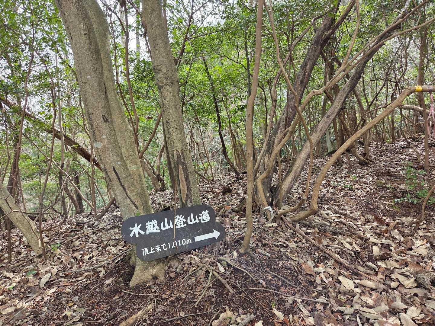 登山口
