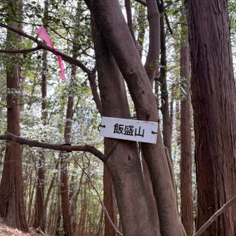 広見越を後にして、歩き始めに眺めた尖ったピークの飯盛山へ行ってみた。想像通りの急登を登り詰めたが、山頂は意外と細長い。
