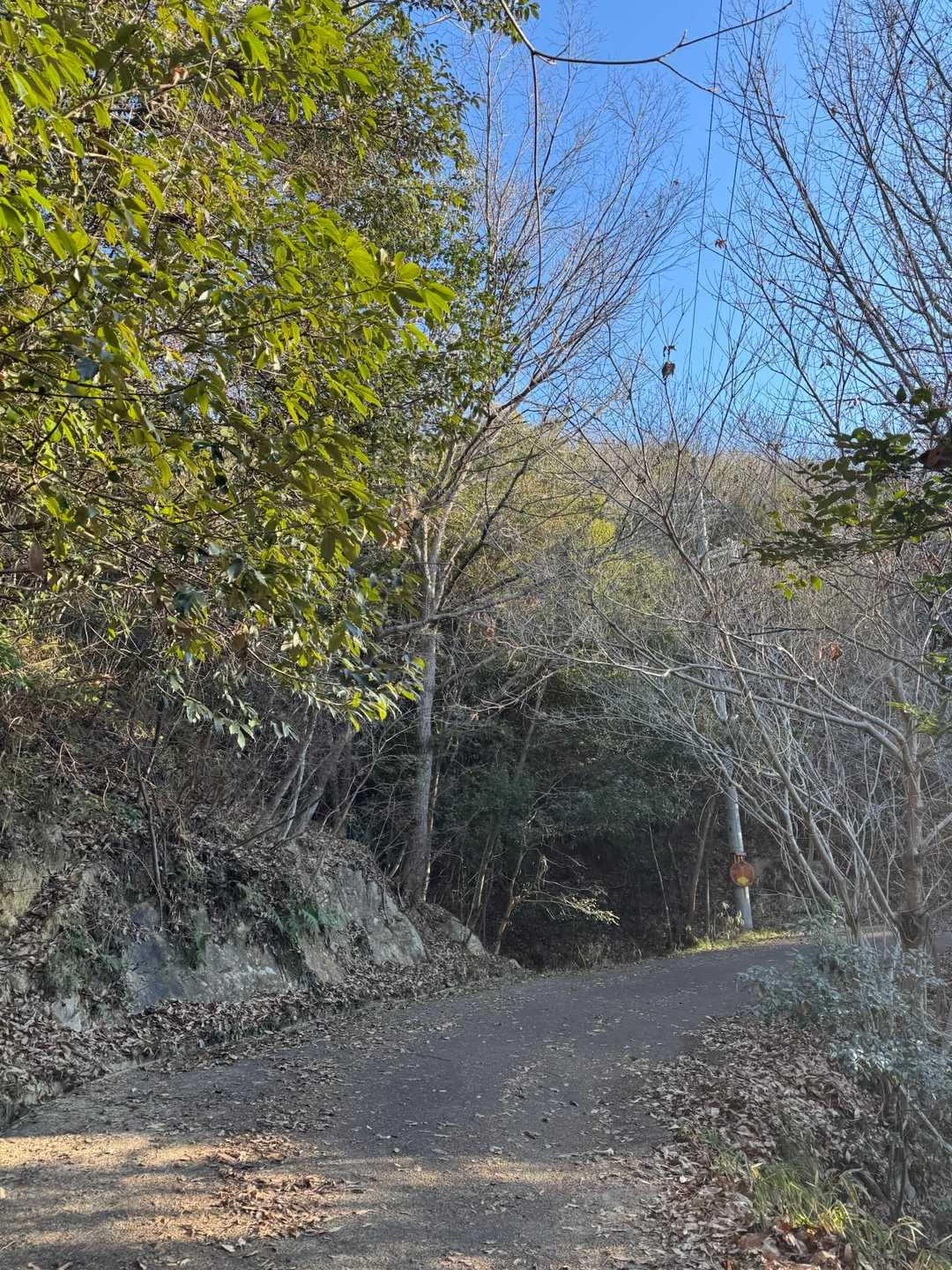 しばらく舗装路を歩きます