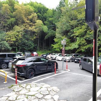山登りが嫌いなひーちゃん🐹
希望通りの山頂駐車場🅿️からのスタート🥾
ん～～ 次につなげるために山登りの楽しさ教えてあげねば🤔