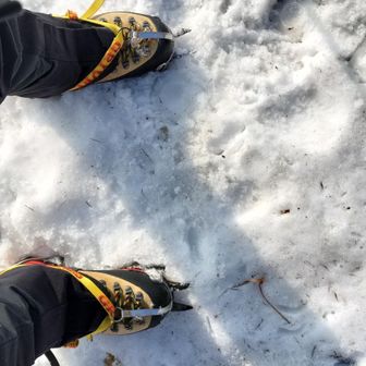 まだツボ足でも大丈夫な感じだけど、面倒なので最初から12本爪を装着
雪はザラメ状ながらまだ締まっている